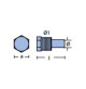 Anodes with Plug For Isoterm serie boiler - 8mm-0.31" Dia. - 01452 - Tecnoseal 